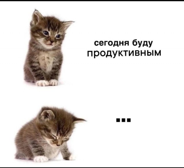 Давно не было....