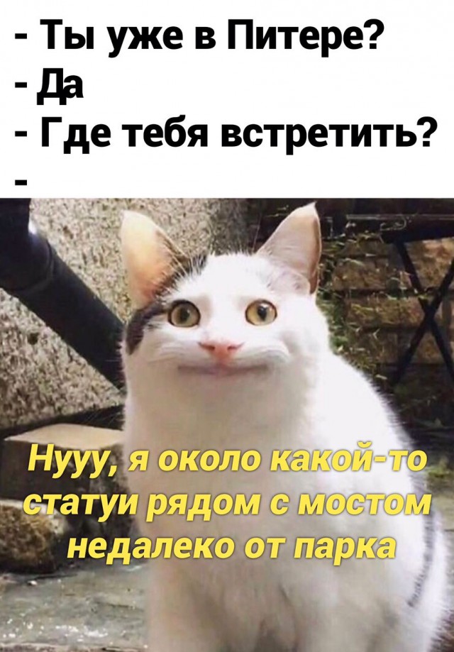 Картинки для деградации 18 (разной степени свежести)
