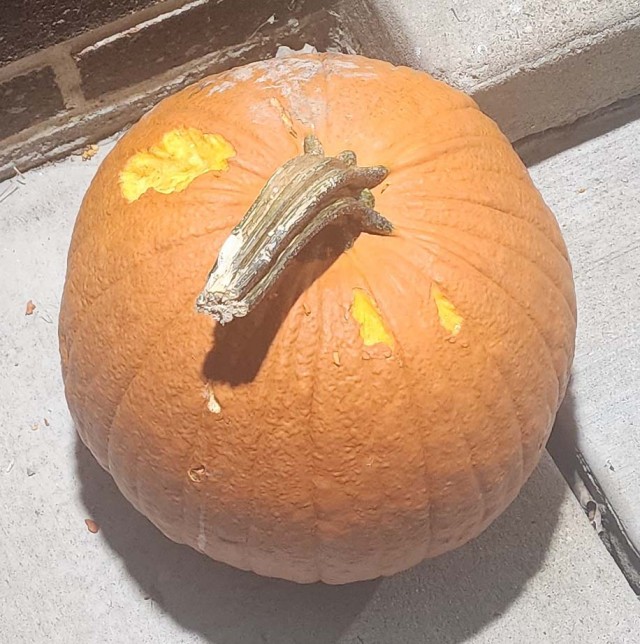 Техас готов к Хэллоуину