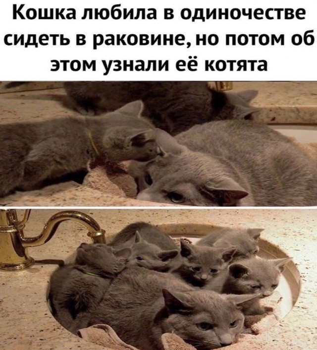 Субботы картинки