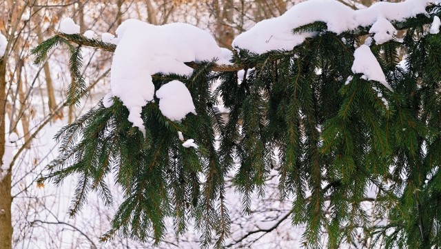 Голубые озера под Казанью