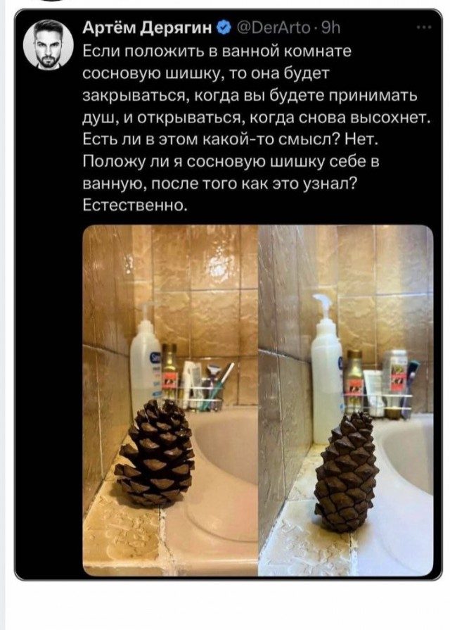 Воскресные картинки