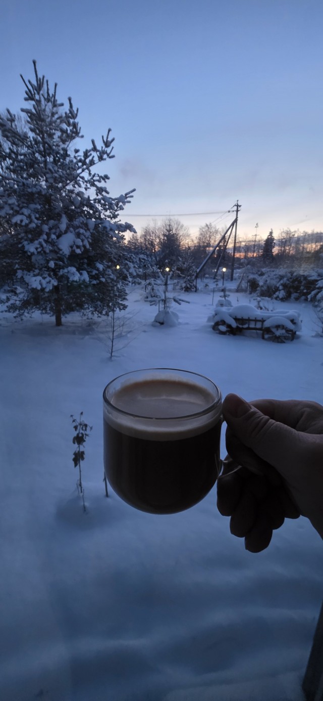 Плюсы загородного дома⁠