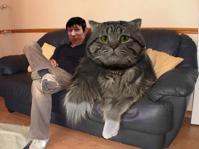 Фотожаба: Грустный котик
