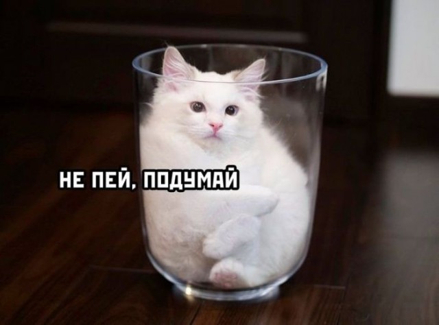 Картинки на среду