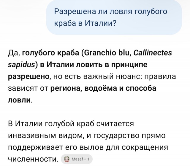 Голубой краб, крабалка в Италии в Бибионе...