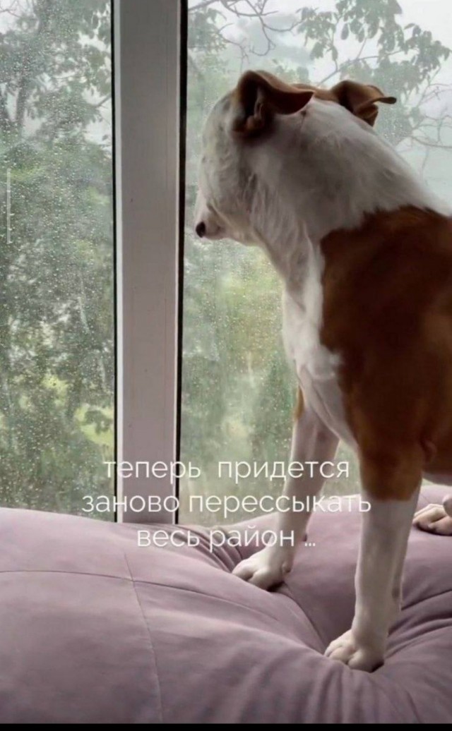 Деградинки