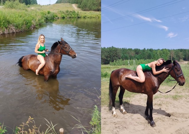 Лошадки