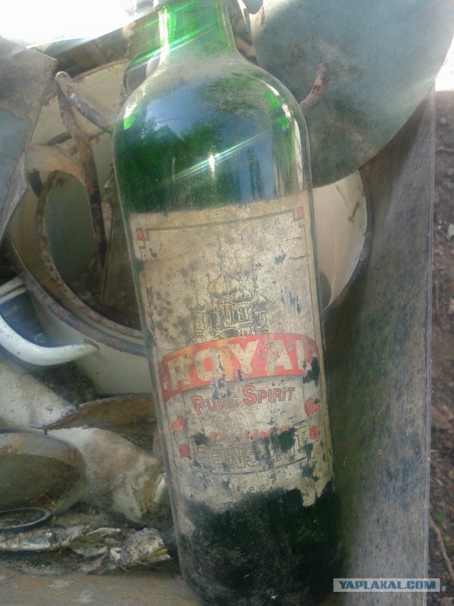 Пить или не пить. Вот в чем вопрос.