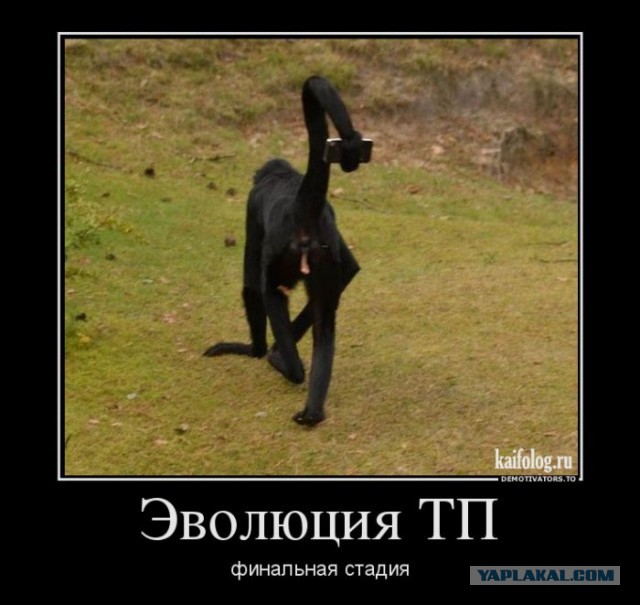 Новый виток "творчества" ТП: сидя на толчке...