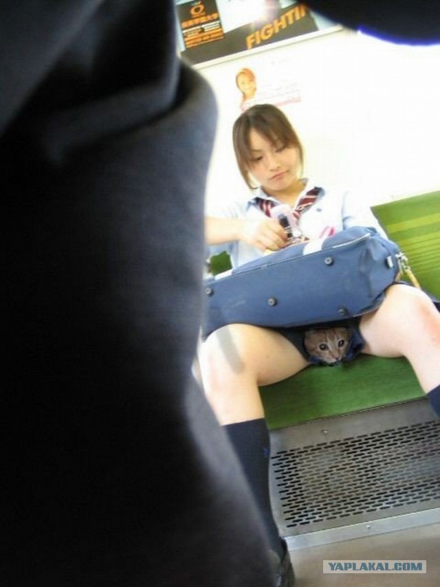 Самые короткие юбки у японских школьниц
