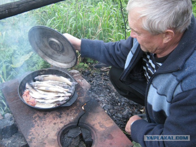 Как мы за хариусом ходили