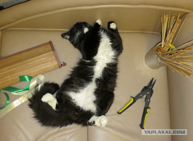 Кукольная миниатюра