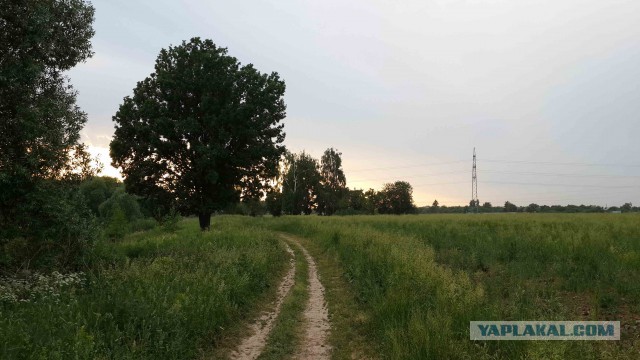 Деревенская Америка
