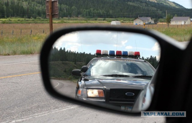 Первое знакомство с полицией