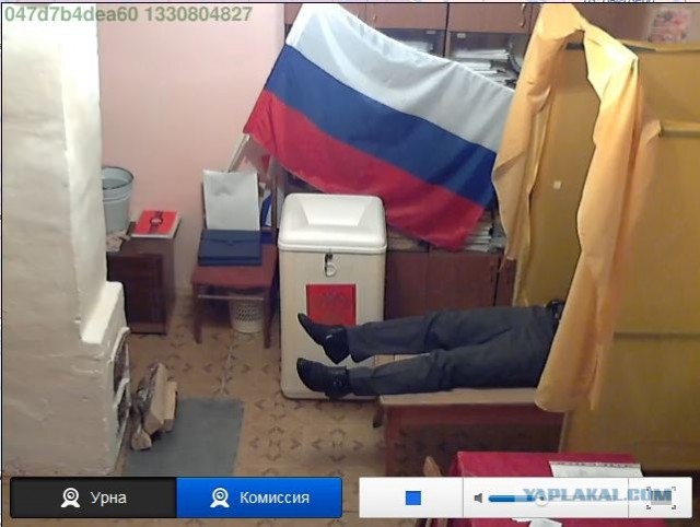 Веб-камеры на избирательных участках