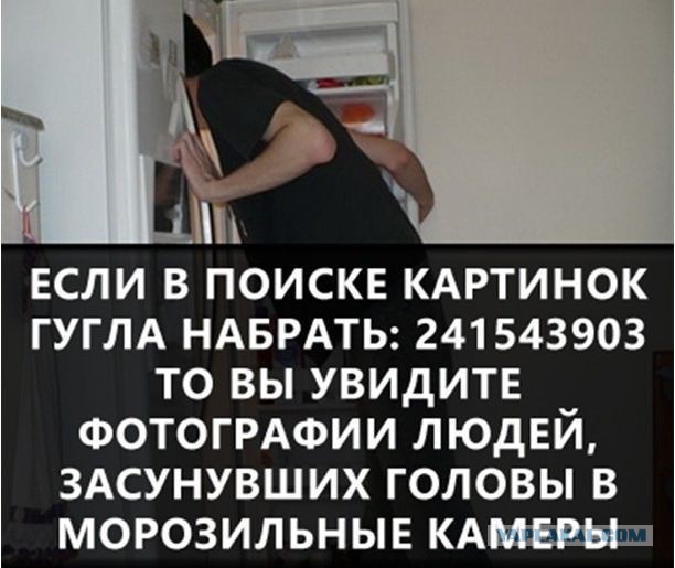 55 Интересных фактов.