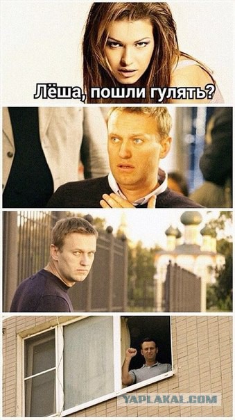 Пошли погуляем?