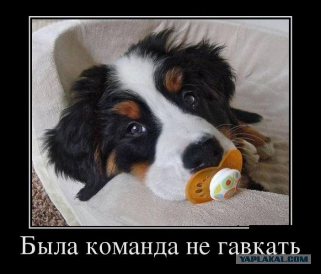 Просто картинки