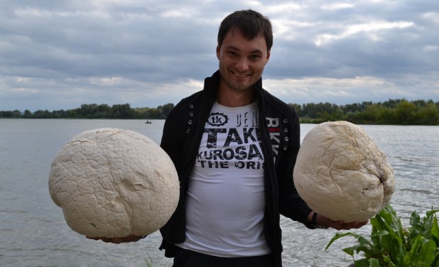 Костромские грибные места.