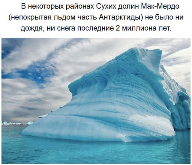 Чего мы не знали об Антарктиде