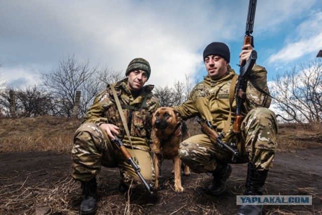 Фотки с Донбасса