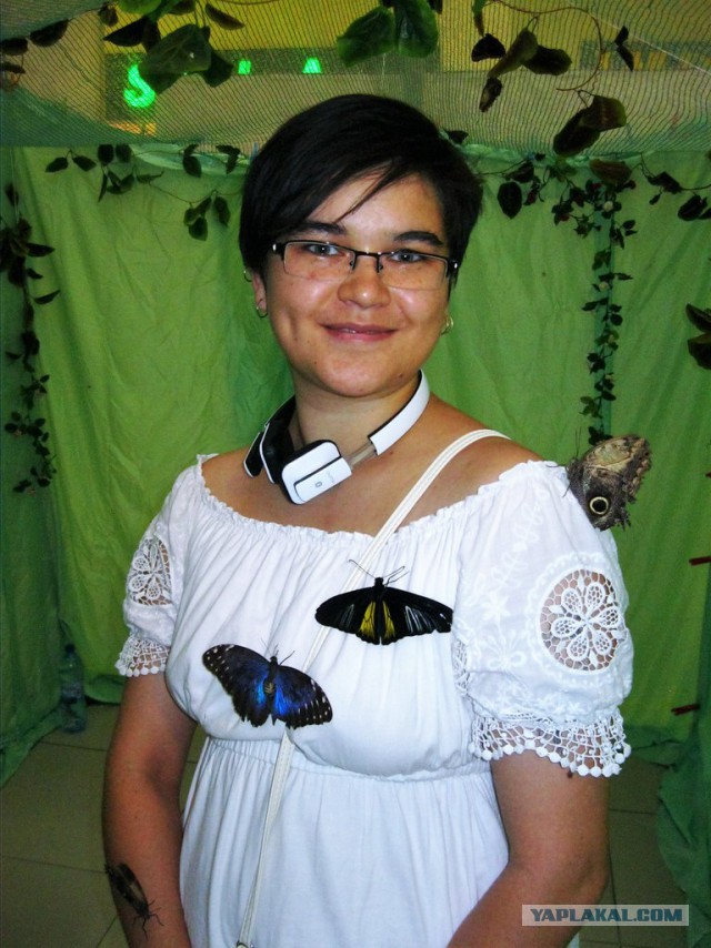 Сумасшедшая музыка из Гравити Фолз на арфе, в исполнении сумасшедшей арфистки