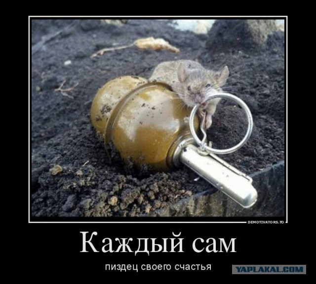 Ученые призвали ВОЗ воздержаться от жесткого контроля электронных сигарет