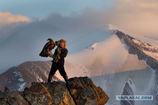 10 шедевров фотожурналистики, которые сразят вас в самое сердце	(10 фото)