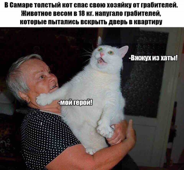 Приключения на задницу на старости лет