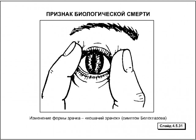 Врачи с сомнительными фамилиями