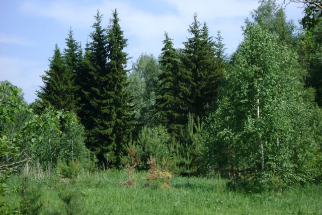 Новосибирск