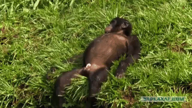 Коротко о семейной жизни