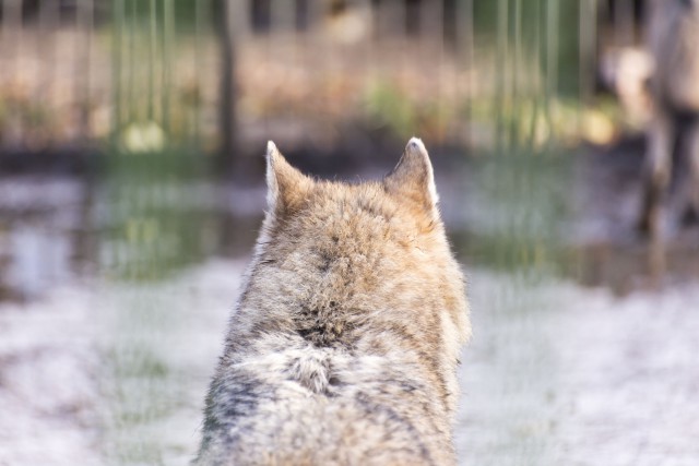 Просто Природа