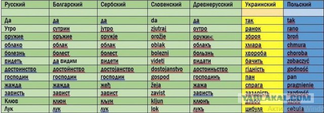 В белорусских школах появится украинский язык