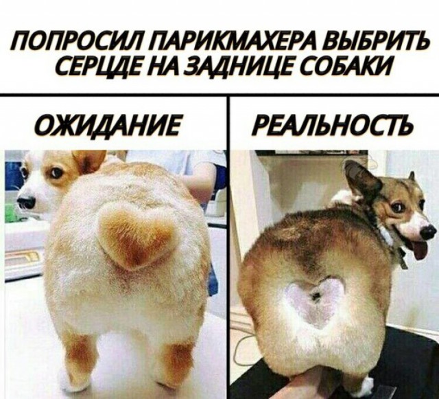 Ожидание против реальности