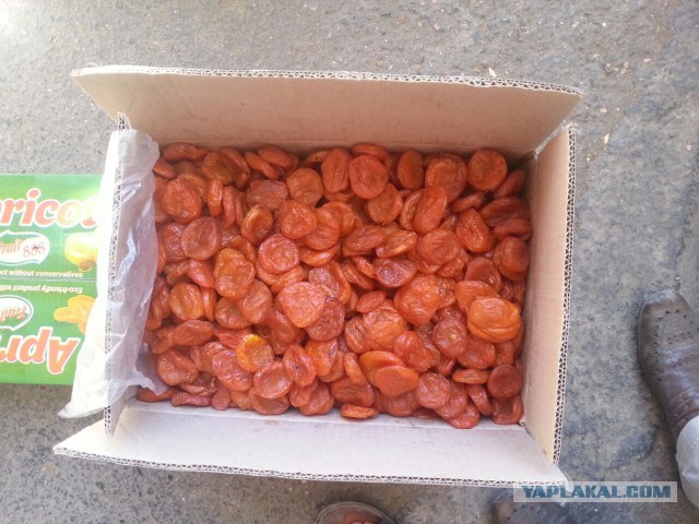 Продам Пчаки