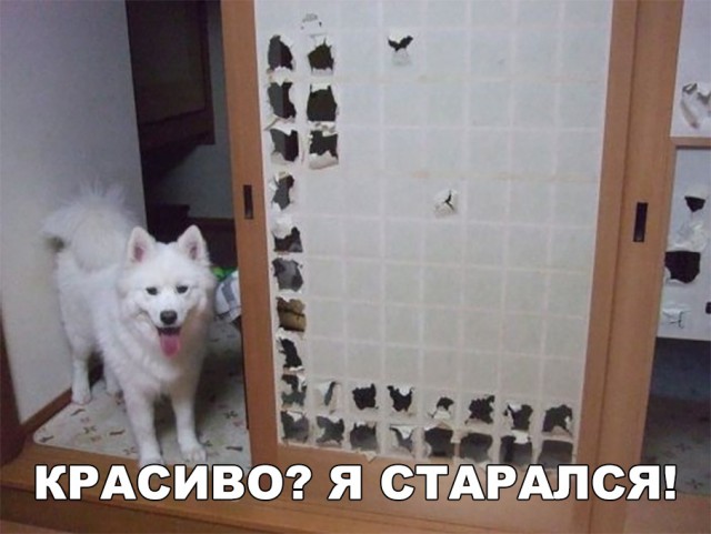 Нестандартный юмор