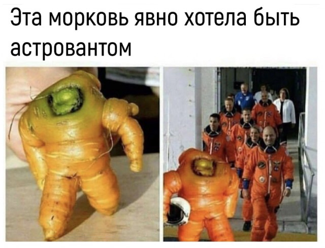 Кроличья нора