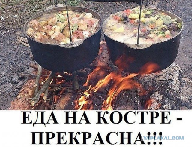 Реальная мужская еда