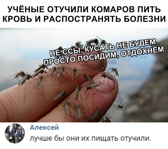 Нестандартный юмор