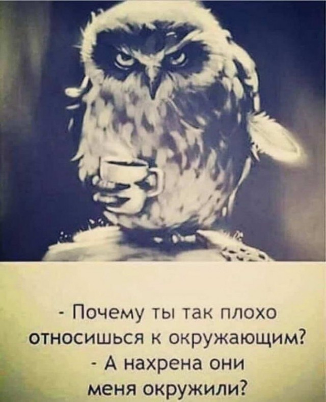 Дурацкие картинки