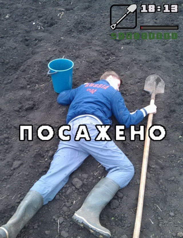 Поедем на дачу?