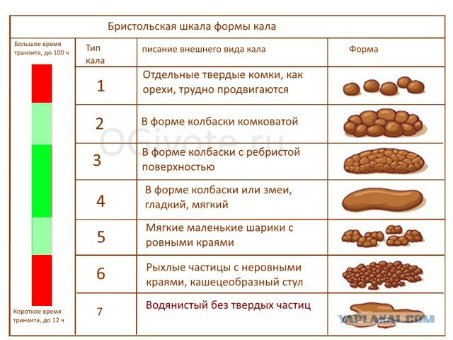 Настоящий джентльмен всегда предложит даме стул