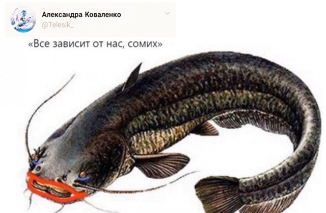 Мнения экспертов