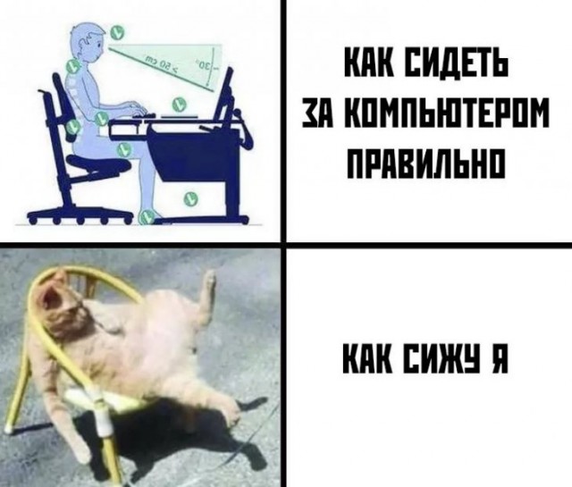 Немного картинок для настроения 17.01.20