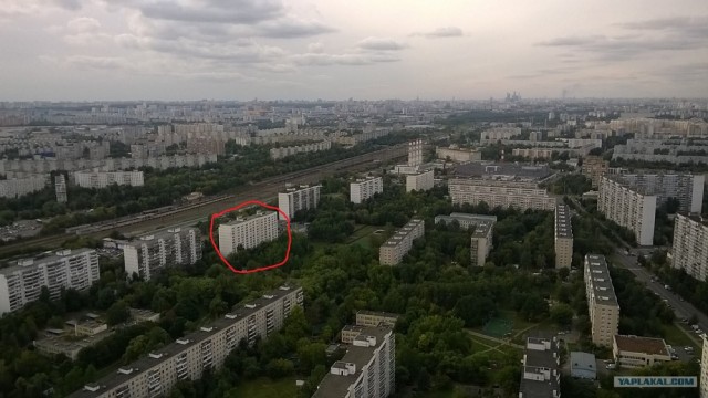 Просто Бирюлево утром