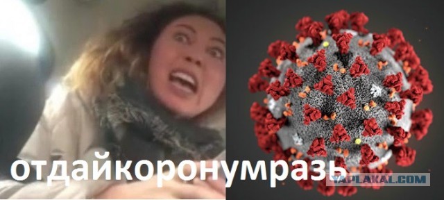 Наклейки «Вези меня, мразь» стали хитом у московских таксистов