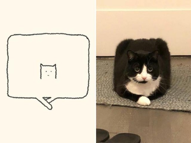 Зарисовки: коты