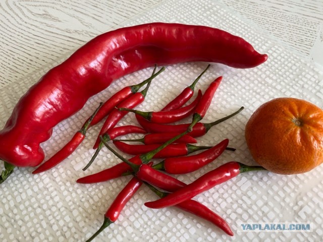 Куриные котлеты в ароматной панировке